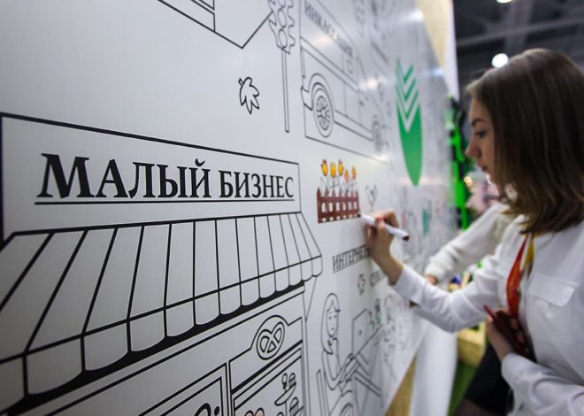 Финансирование малого бизнеса: микрозаймы, кредиты и экспресс-решения для ИП и самозанятых